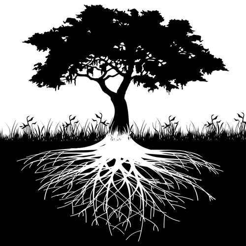 tree clipart with roots - photo #49